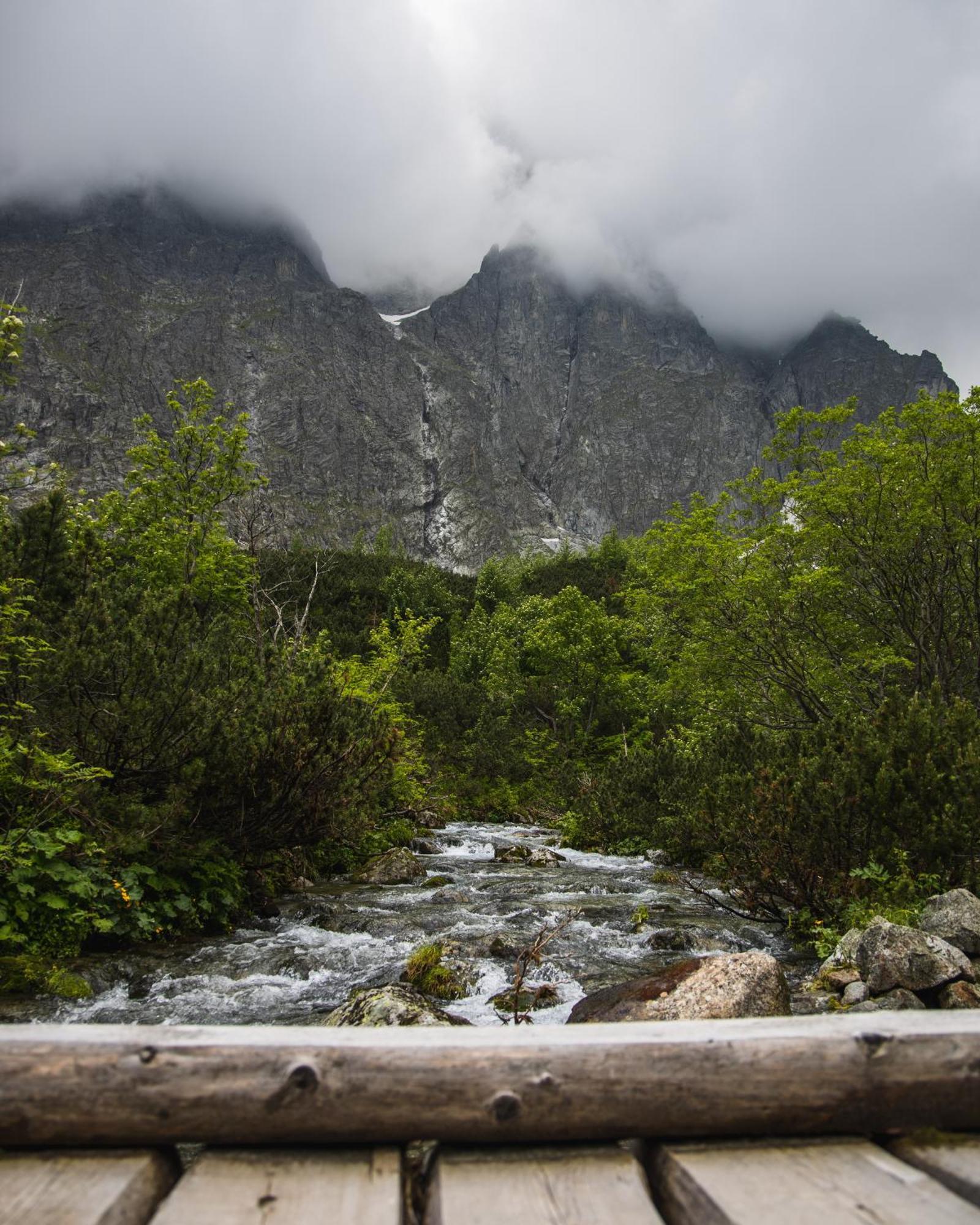 Apartmany Lesy A Luky - V Srdci Tatier Vysoké Tatry Extérieur photo