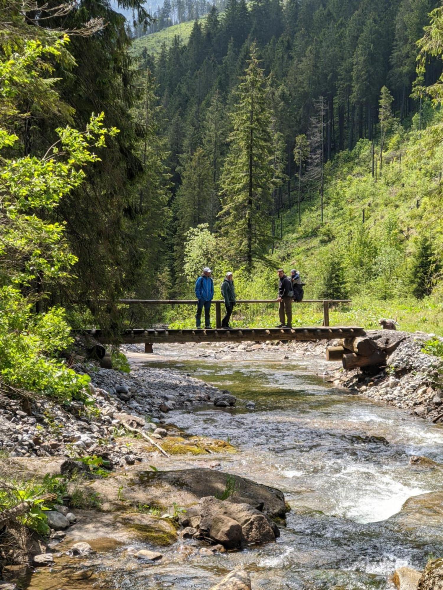 Apartmany Lesy A Luky - V Srdci Tatier Vysoké Tatry Extérieur photo