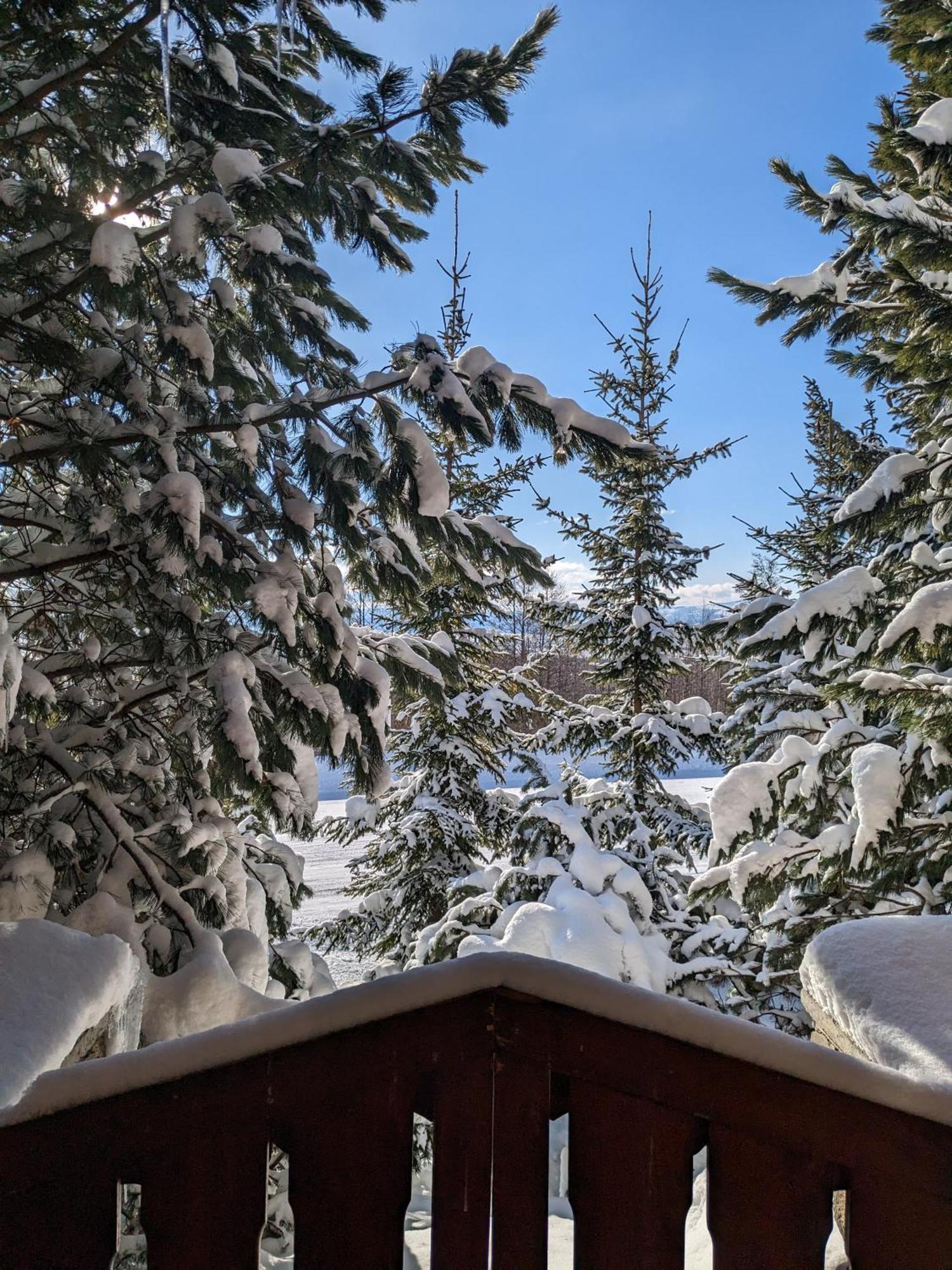 Apartmany Lesy A Luky - V Srdci Tatier Vysoké Tatry Extérieur photo